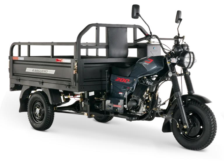 Karguero 3W 200