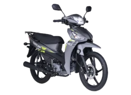 akt-special-110-x-gris-verde-01